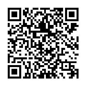 发射一个另一个就会有反应的了……这个我都会好不好……二维码生成