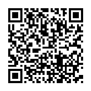 发放任务的鸟雀精灵大人竟然和她一样讨厌苏落二维码生成