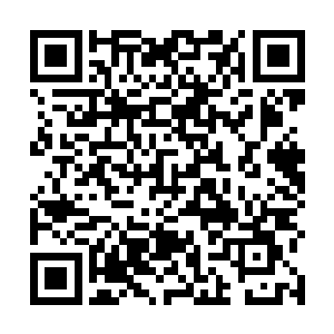 发现上头在她的每次灵魂试探后都会反馈一些灵魂信息二维码生成