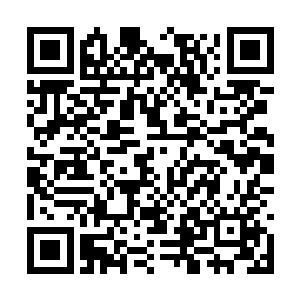 发现他们在一个空空荡荡几乎一无所有的铁笼子里二维码生成