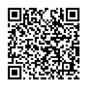 发现果然是抢夺第二势力的大好机会……他心动了二维码生成