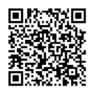 发现等待自己的人是一个他不认识而且还只是剑者境界的小武者二维码生成