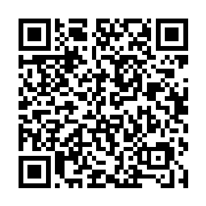 发现这个透明的果子竟然有着修复和壮大神识的作用二维码生成