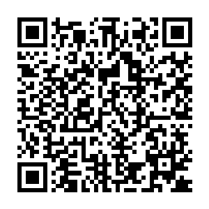 发现这田丰浩简直是在想尽办法要将苗毅置于死地为背后的主子出气二维码生成