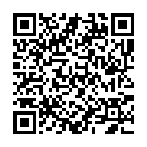 变成了地面上最不起眼的小草小花一样依偎在水城祭司身边二维码生成