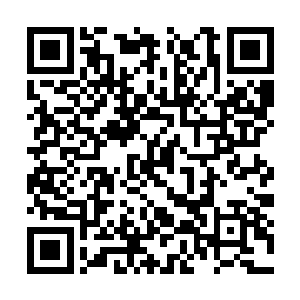 叛臣势力的无上存在还在向域场里加持神秘的力量二维码生成