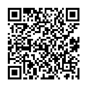 口中不受控制地吐出了一口鲜血紧接着就被人五花大绑二维码生成