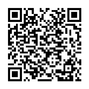口吃张便组织他们土木系的人和鬼牙的信息系打架二维码生成