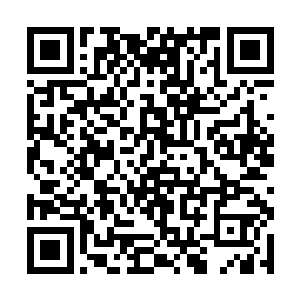 古武世家和隐秘门派已经通过某种渠道或者特殊秘法二维码生成