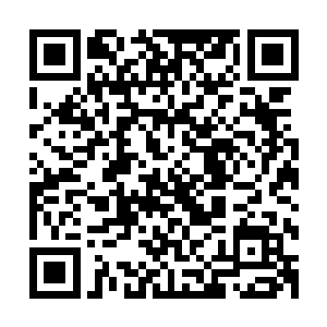 另一名来自天蛇圣洞的圣弟子白灵素也一脸恨铁不成钢的劝道二维码生成