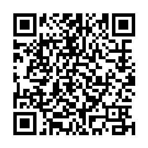 另一边布置雷火锥阵的那些修士眼皮都没有向这边多望两眼二维码生成