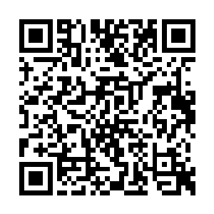 另一边的刘大刀已经百无聊赖的数了半天蚂蚁了二维码生成