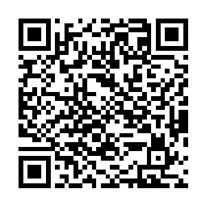 另一边的龙王面对着天蝎圣骑还有着巨蟹圣骑两人的围攻二维码生成