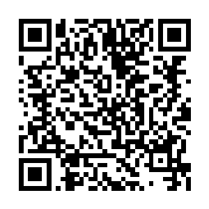 另两名警员则是瞪着要喷出火来的眼睛看着杨洛二维码生成