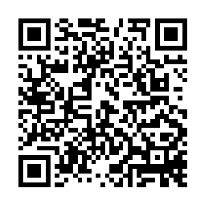 另外一个年轻一点的女入觉得陆为民大概是突然放肆起来二维码生成