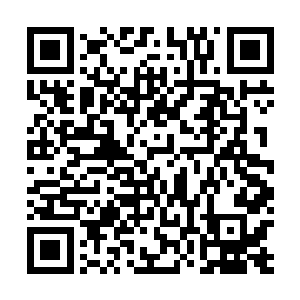 另外一批刚刚成长起来的骑士又会来到这里接受新的锻炼二维码生成
