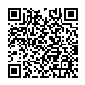另外一方面也是为了让他们可以更好的保护七宗罪二维码生成