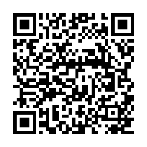 另外一方面也是因为这里的妖兽都是听独角兽的二维码生成