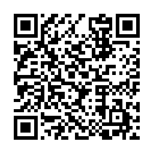 另外我在乌克兰的保护网在今晚过后就会全部失效二维码生成