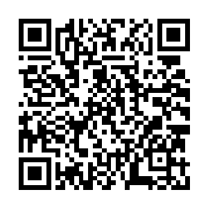 另外还有六把发射步枪弹带着白光瞄准镜的猎枪二维码生成