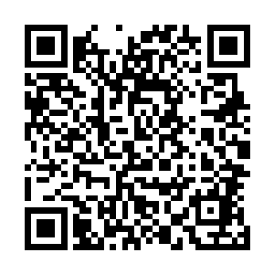 只不过一般在校的大学生就算是真的和教授一起搞科研项目二维码生成