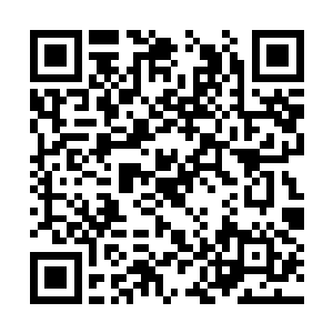 只不过他们已经能够在一定程度上动用法则之力了二维码生成