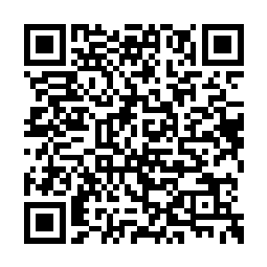 只不过再往里面就没人敢下去了少主没下去之前二维码生成