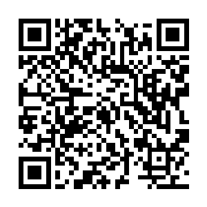 只不过是到时候大家需要采取什么样子的应对罢了二维码生成