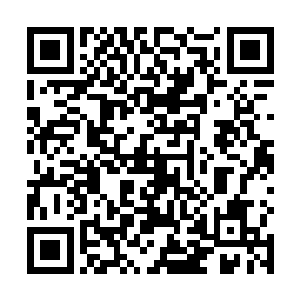 只不过萧霓裳的招式功法应该比王钟更加高深一点罢了二维码生成