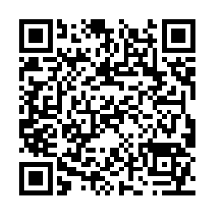 只不过轩辕剑中蕴含的是青龙的木系本源之力罢了二维码生成