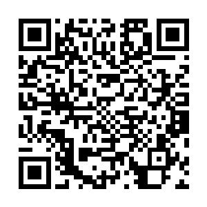 只不过这次在海岸大坝上吹海风散心的情侣比上次多不少二维码生成