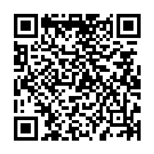 只不过那紫霄神雷竹根之中还蕴含其本体的一丝力量二维码生成