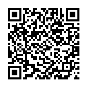 只不过高扬他们是被两艘英国人的快艇给夹住了而已二维码生成