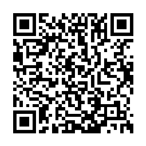 只不过龙且如今提供给医院的尸兄基因非常微弱二维码生成