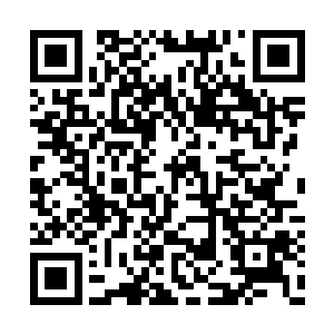 只为了对付两个无角人加一只小鸟人就火力全开二维码生成