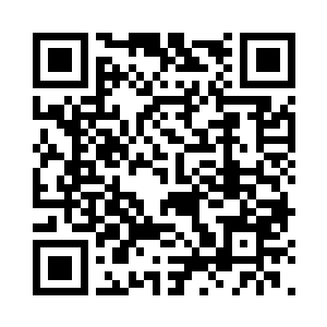 只剩下奥利维亚从家中带出来的穆根草盆栽二维码生成