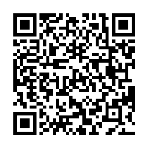 只剩下我和两个婢女瑟瑟发抖的等着最糟糕的命运降临二维码生成