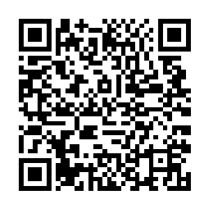 只剩下麻子他们和职高那十几个学生都傻愣愣的站着二维码生成