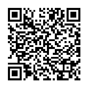 只可惜我们下仙域的修士穷极一生都难以见到上仙域的影子二维码生成