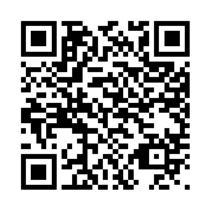 只可能是站在圣教最高层的那些长老二维码生成