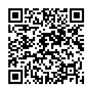 只咬着牙去蓝晶水府履行流墨墨答应给碧瑶的一半的自己二维码生成