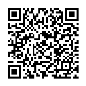 只因他本身的境界已远远超过了幽暗星能孕育的极限二维码生成