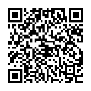 只因船身又轻轻的晃了一下不光是让许辉又来了一个屁股蹲儿二维码生成