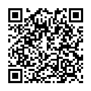 只在关注着流墨墨破封魔塔的同时锁定着琴仙子二维码生成
