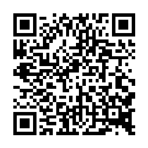 只好在几个民警以及赶来的杨和平等人面前讪讪的关上二维码生成