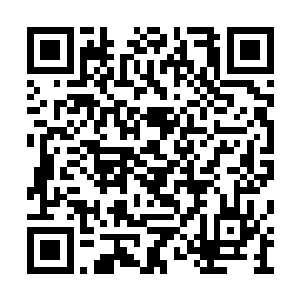 只希望那些用椰子壳装着的淡水能撑到海的对面二维码生成