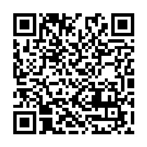 只怕他和他们的小伙伴们现在正在阎王殿里报道呢二维码生成
