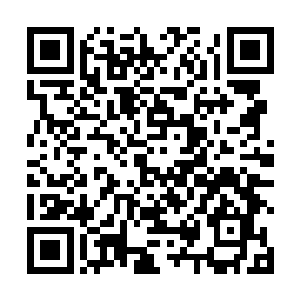 只怕再无可能冲破熊孩子等人跟骨皇一起构筑的包围圈二维码生成