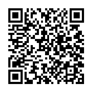 只怕璃城里也有不少的人家上赶着想要将女儿嫁过去二维码生成