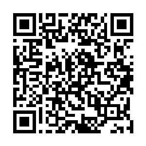 只怪自己修习不精招式之间却是一点都配不上五级的实力二维码生成